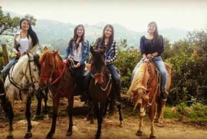 Bogota: Abenteuer in den Anden