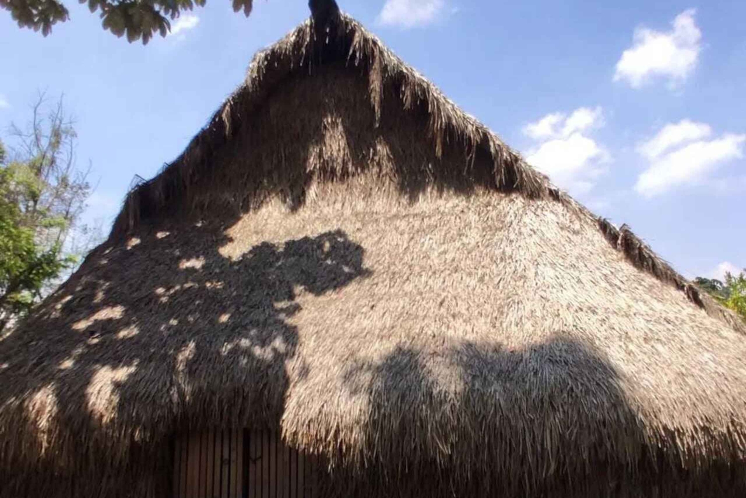 Bogotá Botanical Garden - A Sensory Journey