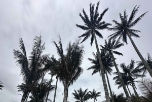 Bogotá Botanical Garden - A Sensory Journey