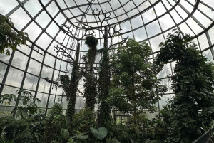 Bogotá Botanical Garden - A Sensory Journey