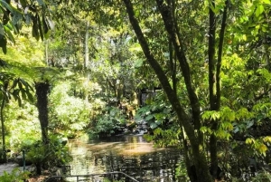 Bogotá Botanical Garden - A Sensory Journey