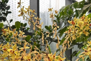 Bogotá Botanical Garden - A Sensory Journey