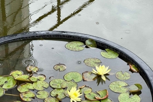 Bogotá Botanical Garden - A Sensory Journey