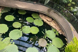 Bogotá Botanical Garden - A Sensory Journey