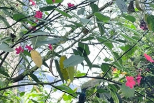 Bogotá Botanical Garden - A Sensory Journey