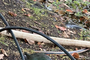 Bogotá Botanical Garden - A Sensory Journey