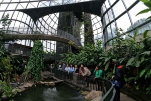 Bogotá: Botanical Garden Tour and Paloquemao Market Visit with Fruits