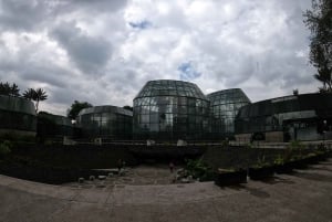 Bogotá: Botanical Garden Tour and Paloquemao Market Visit with Fruits