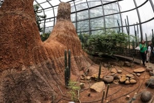 Bogotá: Botanical Garden Tour and Paloquemao Market Visit with Fruits