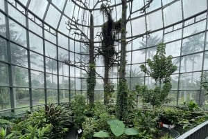 Bogotá: Botanical Garden Tour and Paloquemao Market Visit with Fruits