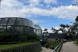 Bogotá: Botanical Garden Tour and Paloquemao Market Visit with Fruits