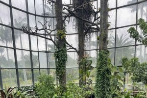 Bogotá: Botanical Garden Tour and Paloquemao Market Visit with Fruits