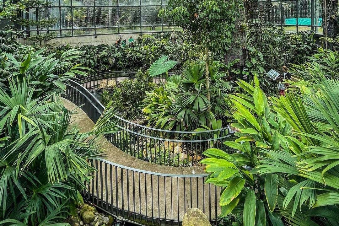 Bogotá Botanical Garden Tour