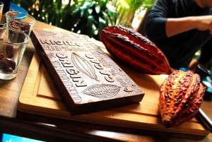 Bogotá: Visita a la Candelaria con Taller de Cacao y Café