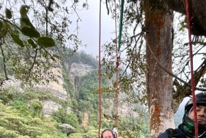 Bogota: Chicaque Cloud Forest Day Trip with Lunch