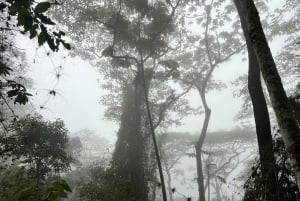 Bogota: Chicaque Cloud Forest Day Trip with Lunch