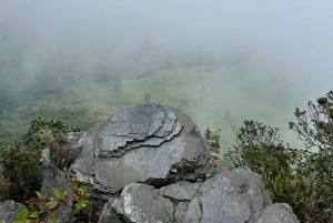 Bogota: Chicaque Cloud Forest Day Trip with Lunch