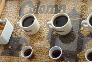 Bogotá: Tour del café colombiano con finca