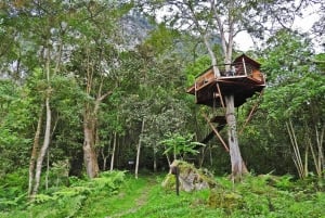 Bogota: Explore the forest and bird watching at Chicaque Natural Park