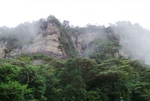 Bogota: Explore the forest and bird watching at Chicaque Natural Park