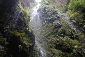 Bogota: Explore the forest and bird watching at Chicaque Natural Park