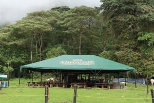 Bogota: Explore the forest and bird watching at Chicaque Natural Park