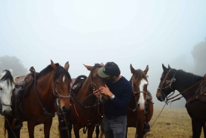 Bogota: Horseback Experience in the Andes