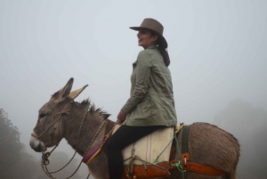 Bogota: Horseback Experience in the Andes
