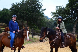 Bogota: Horseback Experience in the Andes