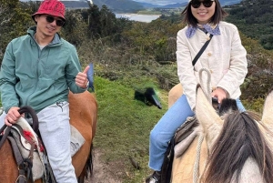 Bogota: Mit dem Pferd durch die östlichen Hügel reiten