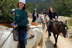 Bogota: Mit dem Pferd durch die östlichen Hügel reiten