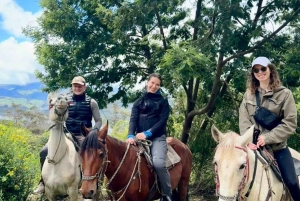 Bogota: Mit dem Pferd durch die östlichen Hügel reiten