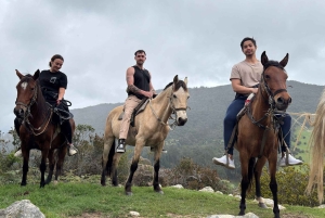Bogota: Mit dem Pferd durch die östlichen Hügel reiten