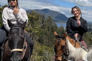 Bogota: Mit dem Pferd durch die östlichen Hügel reiten