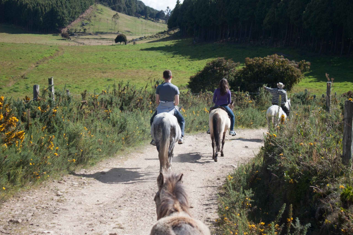 Bogota: Horseback Riding Tour