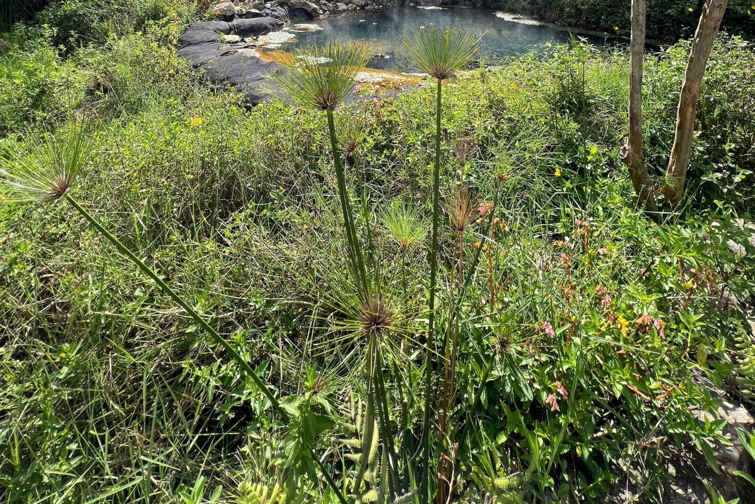 Bogotá: Entspannungstag in den Thermalquellen
