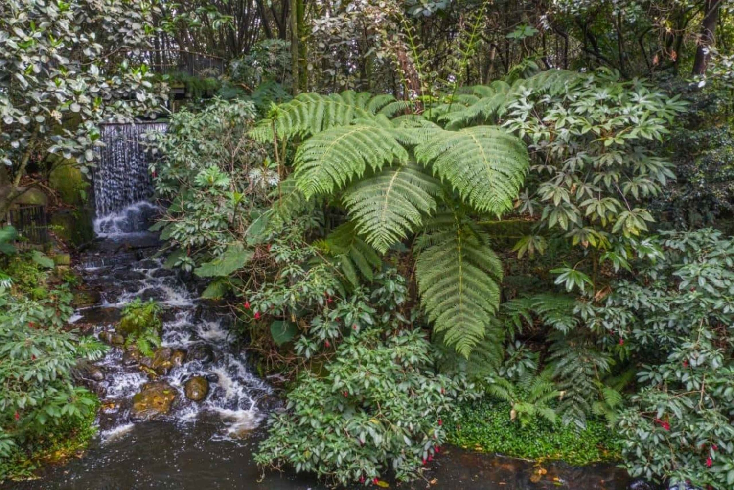 Bogotá: Jardim Botânico José Celestino e Cerro Gudalupe