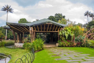 Bogota: Ogród botaniczny Jose Celestino i Wzgórze Gudalupe