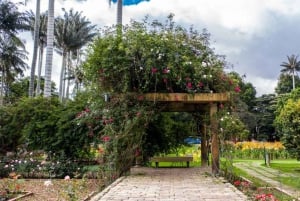 Bogota: Ogród botaniczny Jose Celestino i Wzgórze Gudalupe