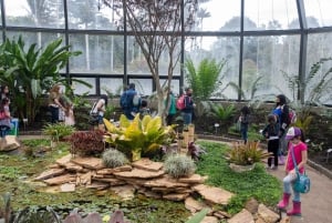 Bogota: Ogród botaniczny Jose Celestino i Wzgórze Gudalupe