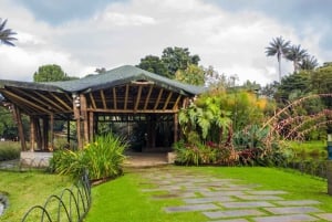 Bogotá: Jose Celestino Botanical Garden and Gudalupe Hill