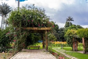 Bogotá: Jardín Botánico José Celestino Mutis