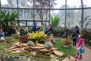 Bogotá: Jose Celestino Botanical Garden and Gudalupe Hill