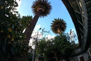 Bogotá: La Candelaria, Gold Museum, & Guadalupe Hill Tour