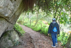 Bogota: La Chorrera Waterfall Guided Hike and Guadalupe Hill