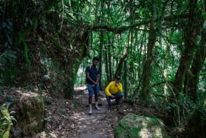 Bogotá: Excursión Guiada a la Cascada de la Chorrera