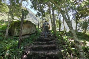 Bogotá: La Chorrera Waterfall Guided Hike