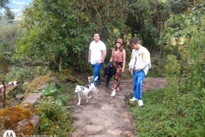 Bogota: La Chorrera Waterfall Private Hike