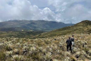 Bogotá: Mataredonda Páramo og Laguna de Teusacá vandretur