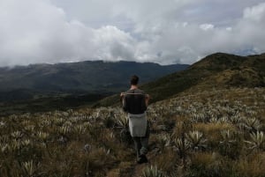 Bogotá: Mataredonda Páramo og Laguna de Teusacá vandretur